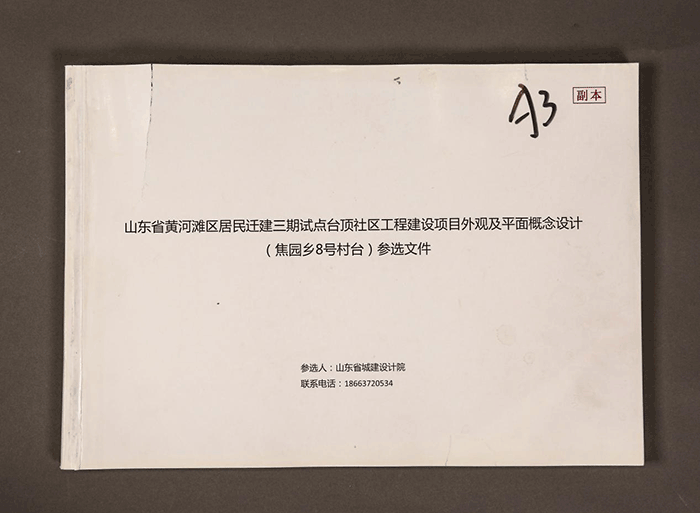 山东省黄河滩区居民迁建三期试点台顶社区工程建设项目外观及平面概念设计（焦园乡8号村台）参选文件