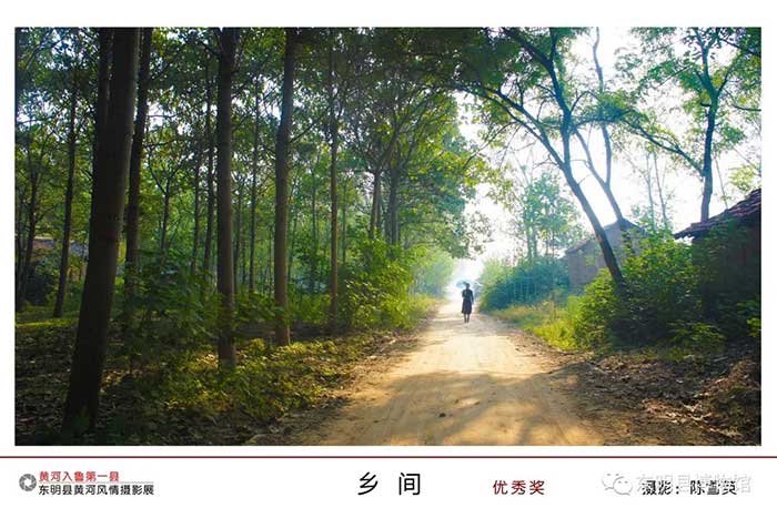 我们的节日&middot;春节丨黄河入鲁第一县&mdash;&mdash;东明县黄河风情摄影展线上展（三）